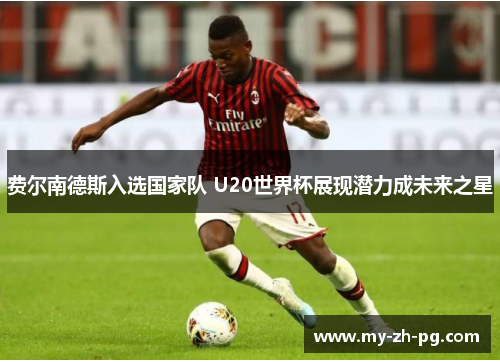 费尔南德斯入选国家队 U20世界杯展现潜力成未来之星 费尔南德斯入选国家队 U20世界杯展现潜力成未来之星