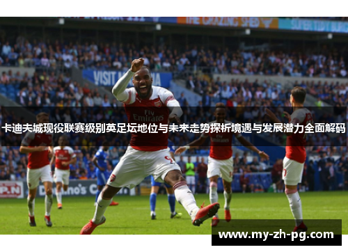 卡迪夫城现役联赛级别英足坛地位与未来走势探析境遇与发展潜力全面解码 卡迪夫城现役联赛级别英足坛地位与未来走势探析境遇与发展潜力全面解码