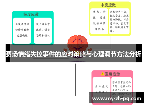 赛场情绪失控事件的应对策略与心理调节方法分析