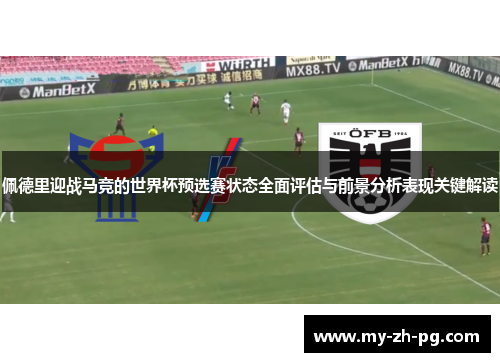 佩德里迎战马竞的世界杯预选赛状态全面评估与前景分析表现关键解读