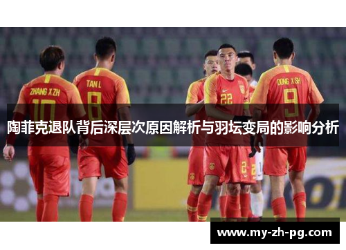 陶菲克退队背后深层次原因解析与羽坛变局的影响分析